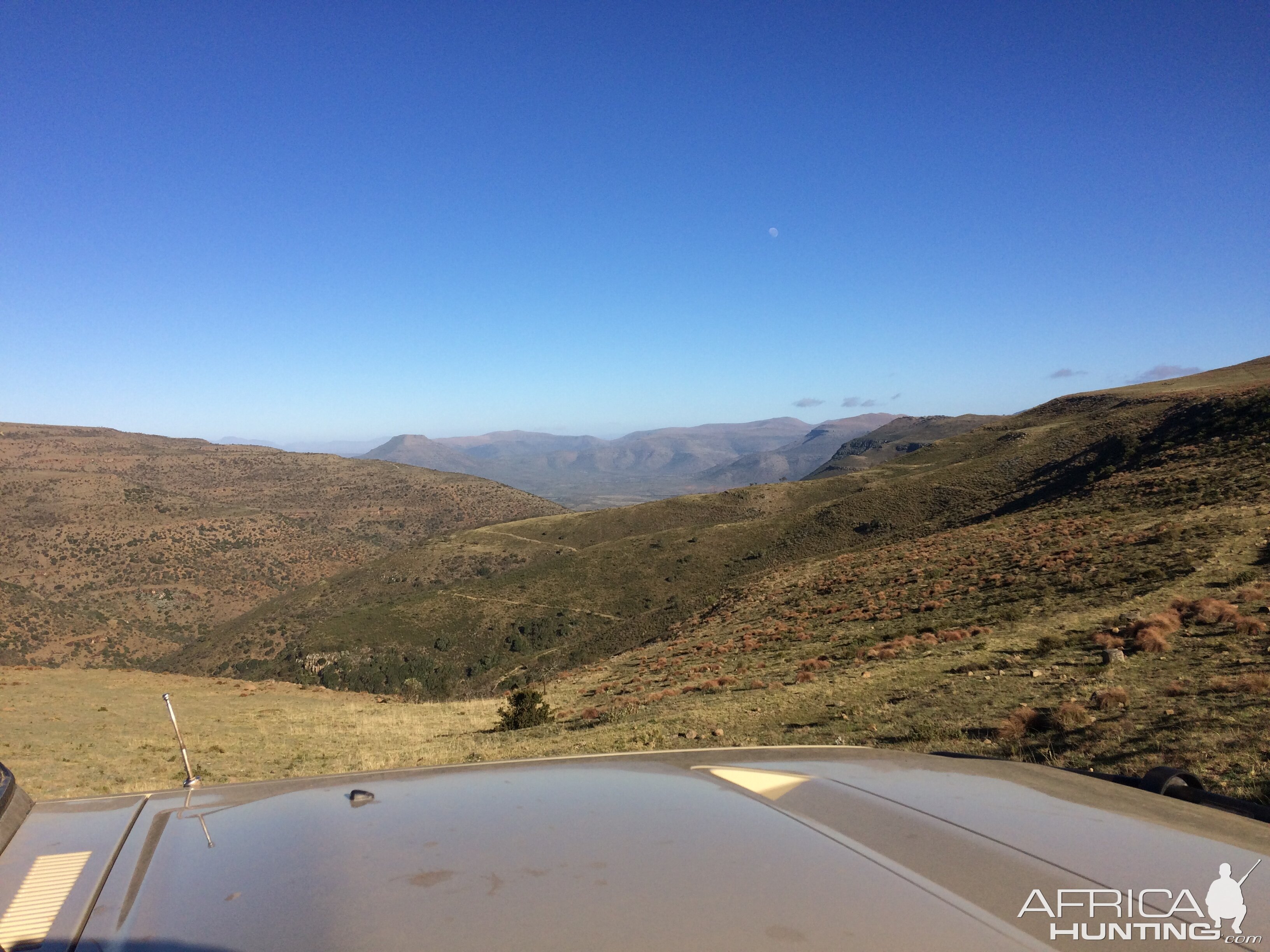 Hunting Vaal Rehbok in South Africa