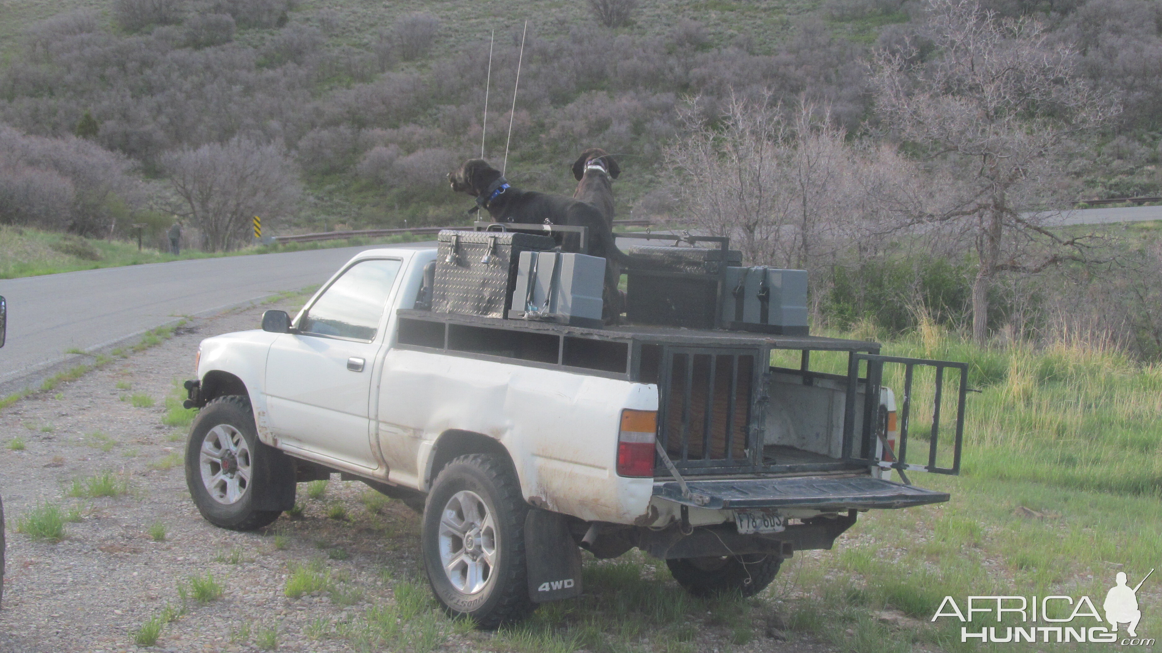 Hunting Vehicle