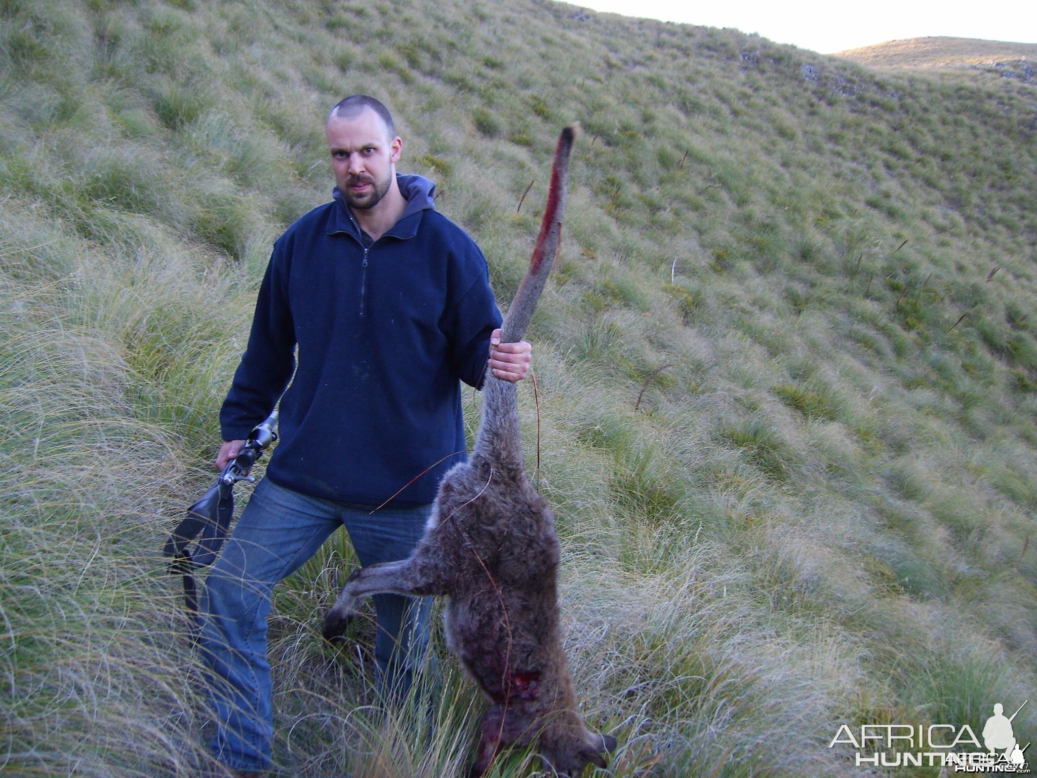 Hunting Wallaby New Zealand