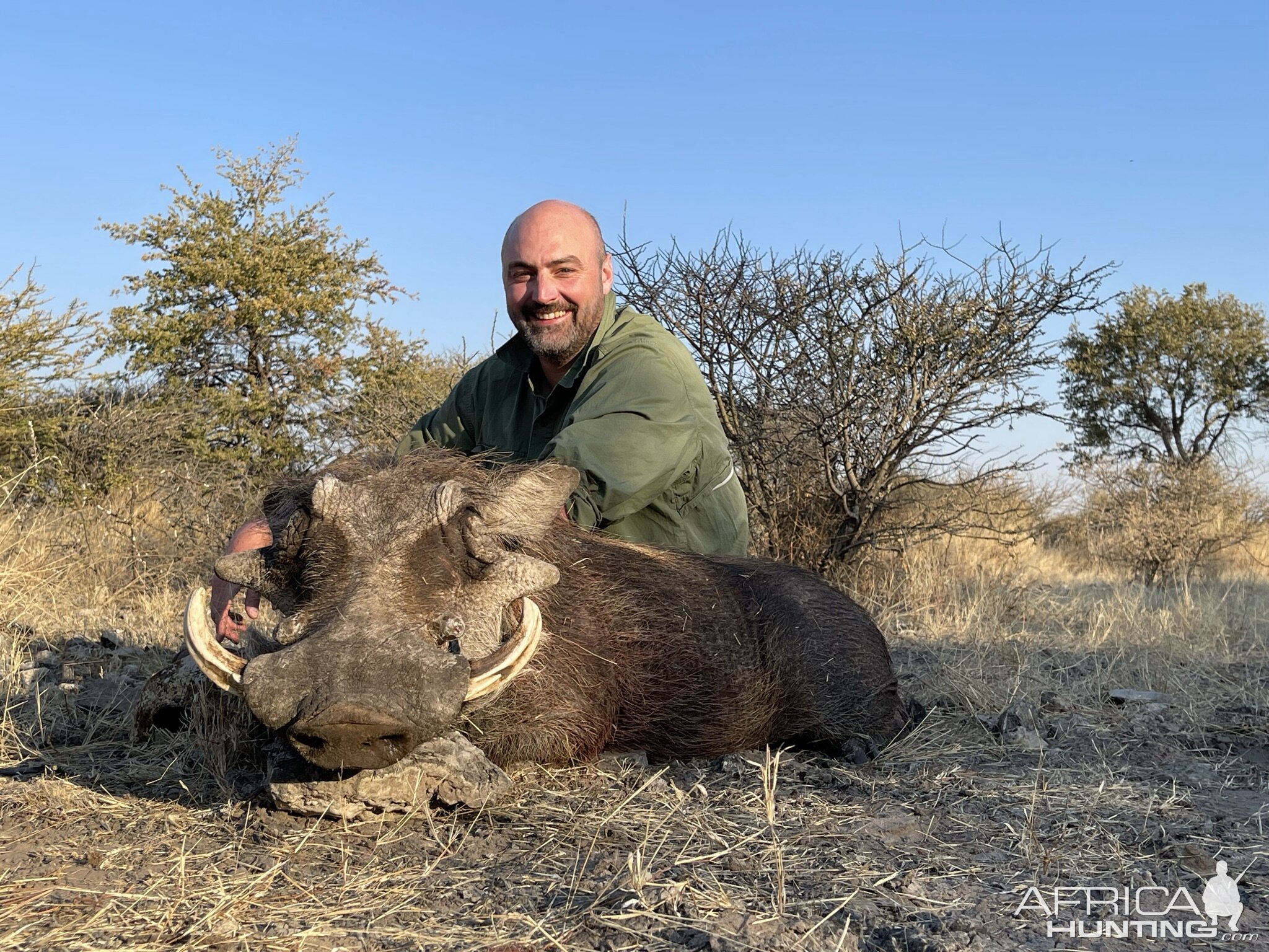 Hunting Warthog Botswana