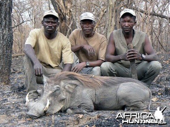 Hunting Warthog in CAR