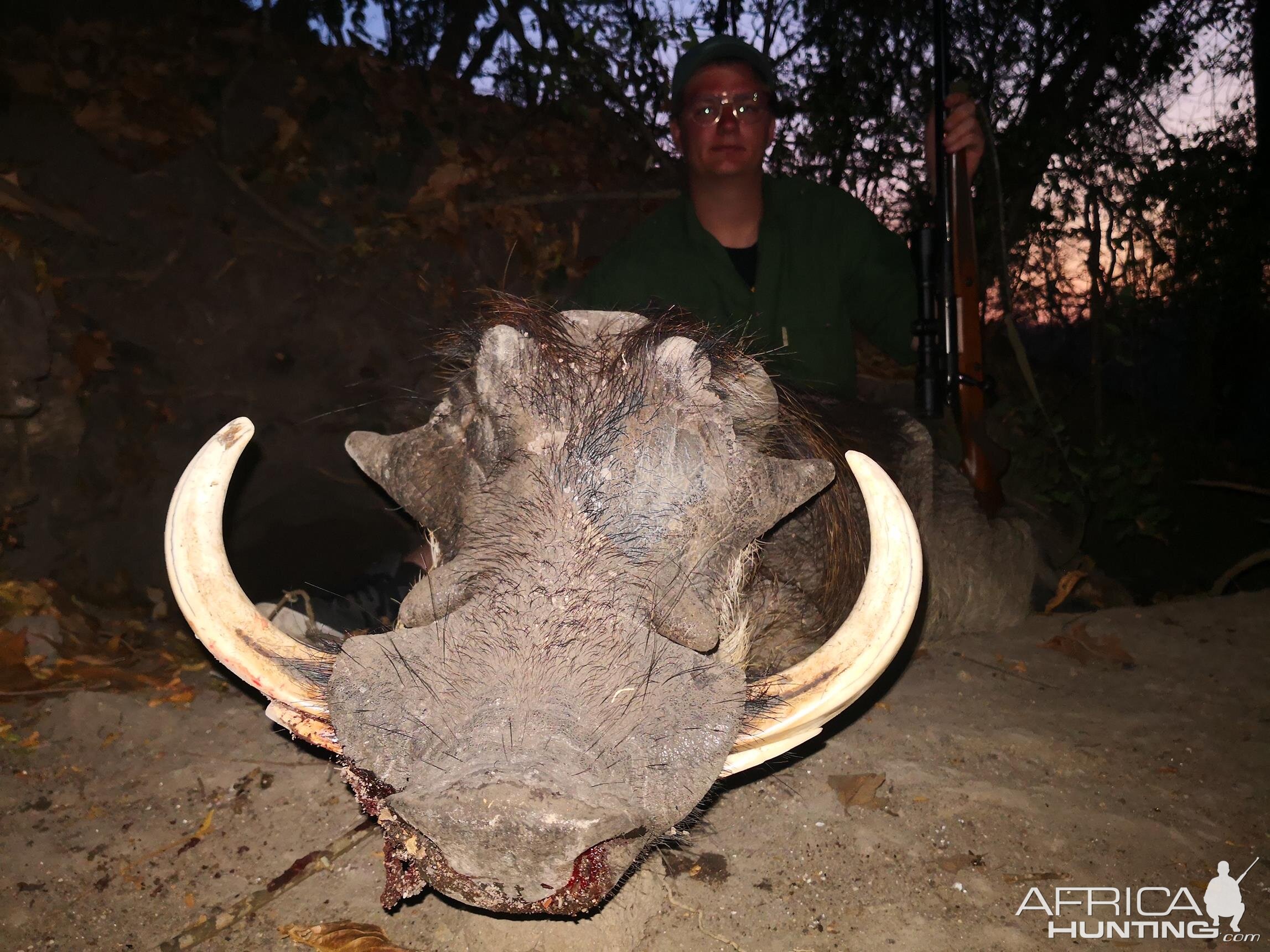 Hunting Warthog in Mozambique