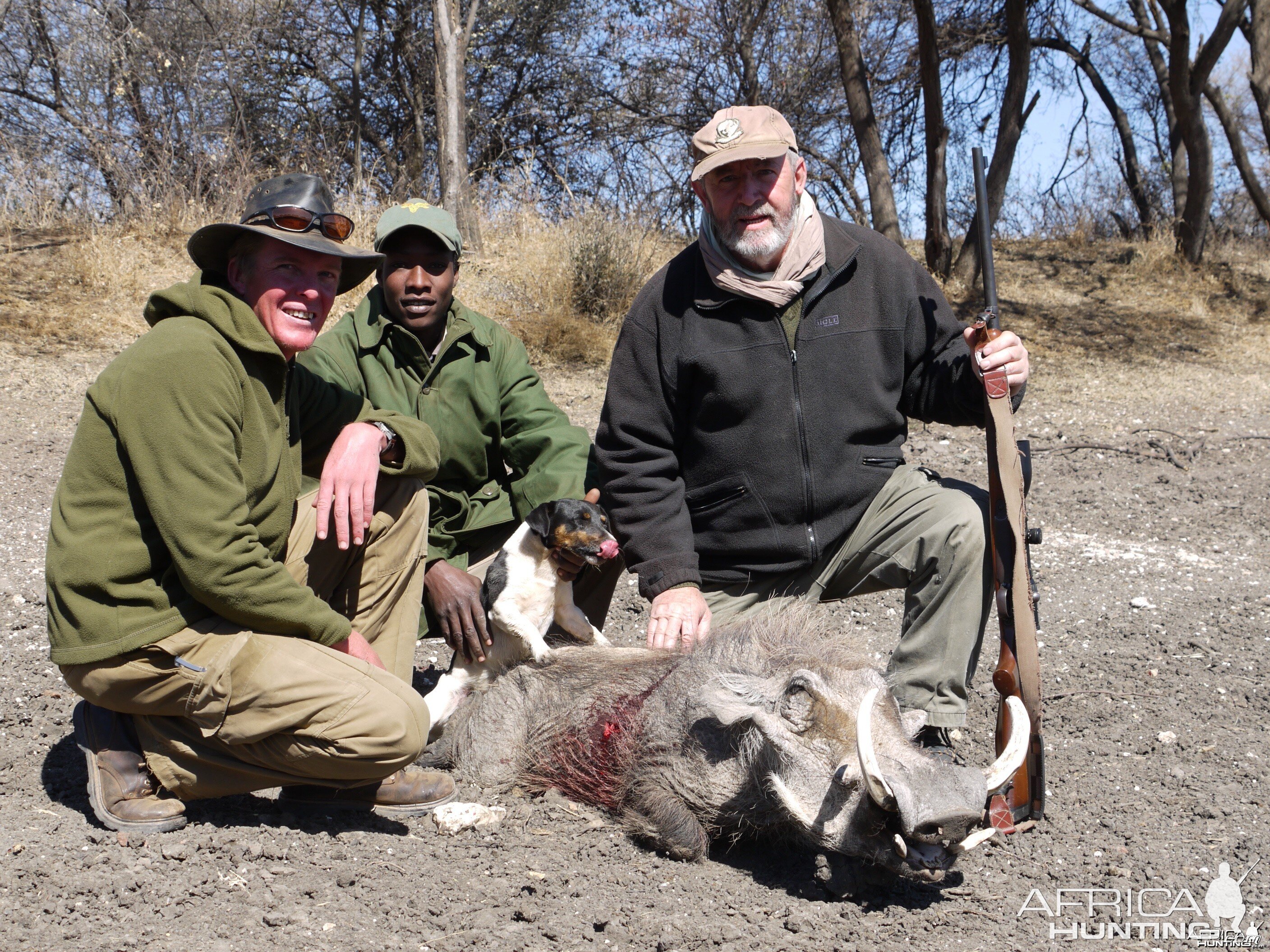 Hunting Warthog in Namibia