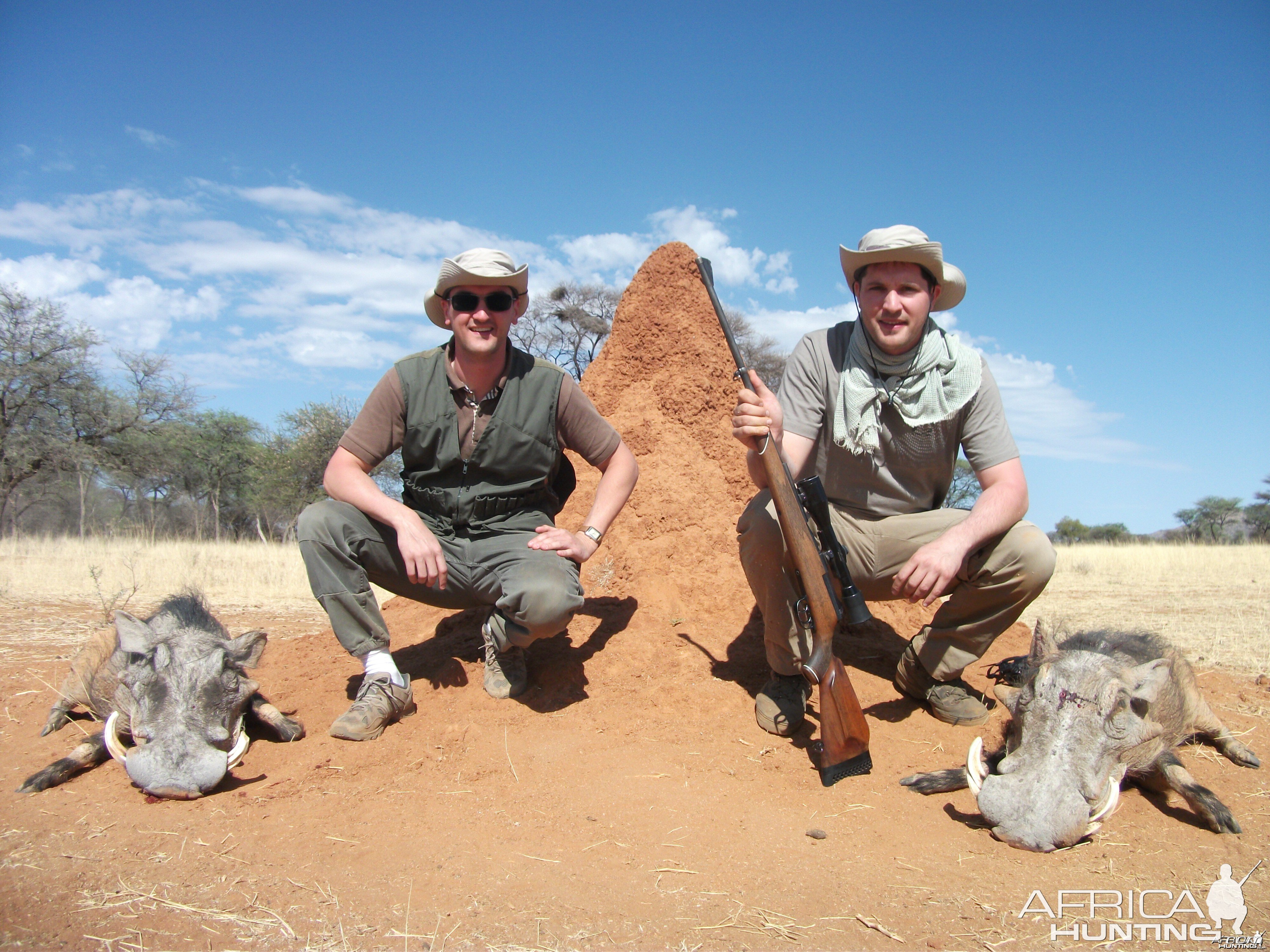 Hunting Warthog in Namibia