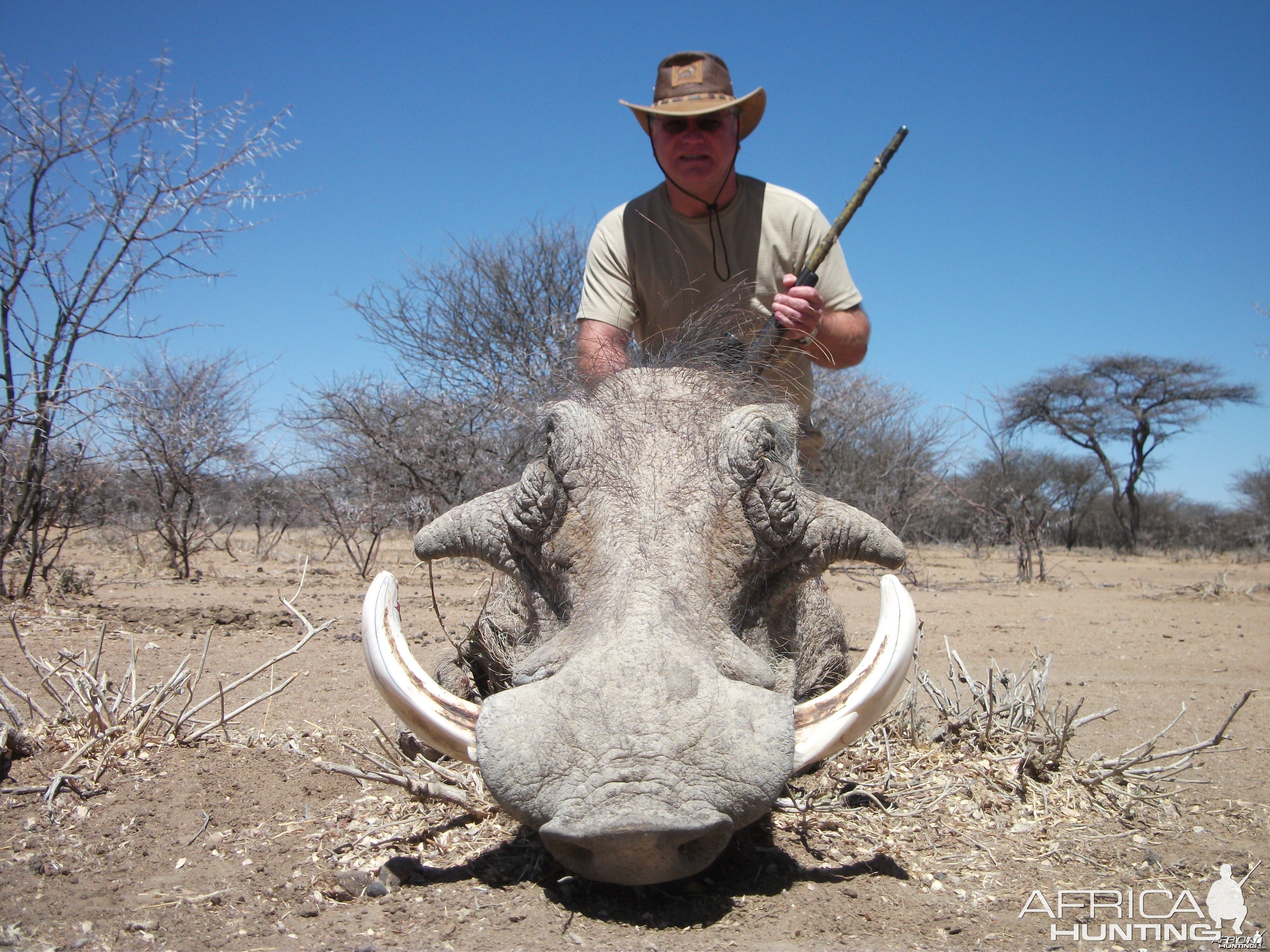 Hunting Warthog in Namibia