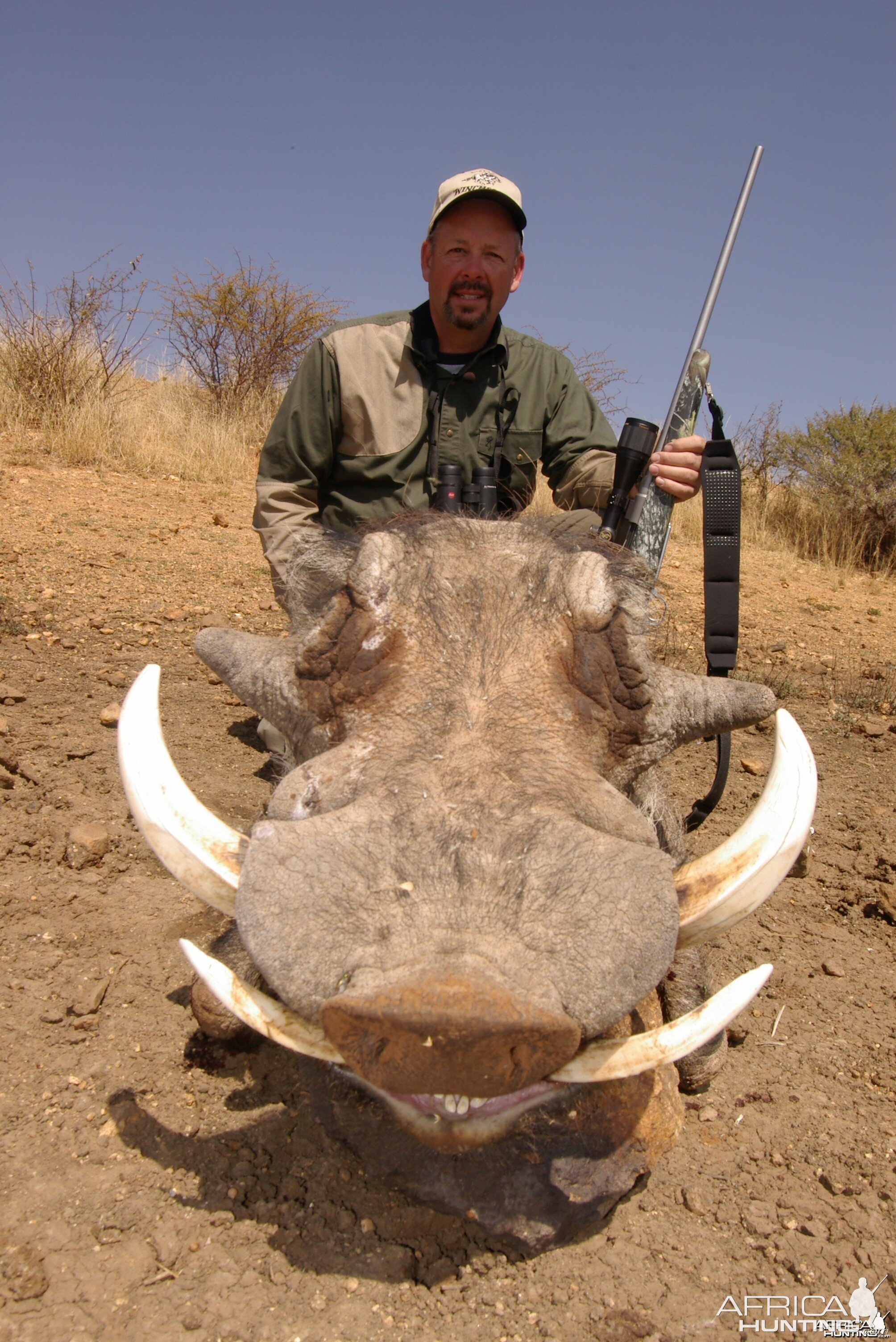 Hunting Warthog in Namibia