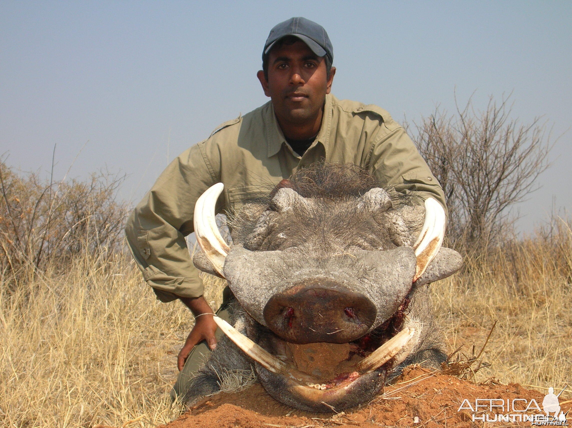 Hunting Warthog in Namibia