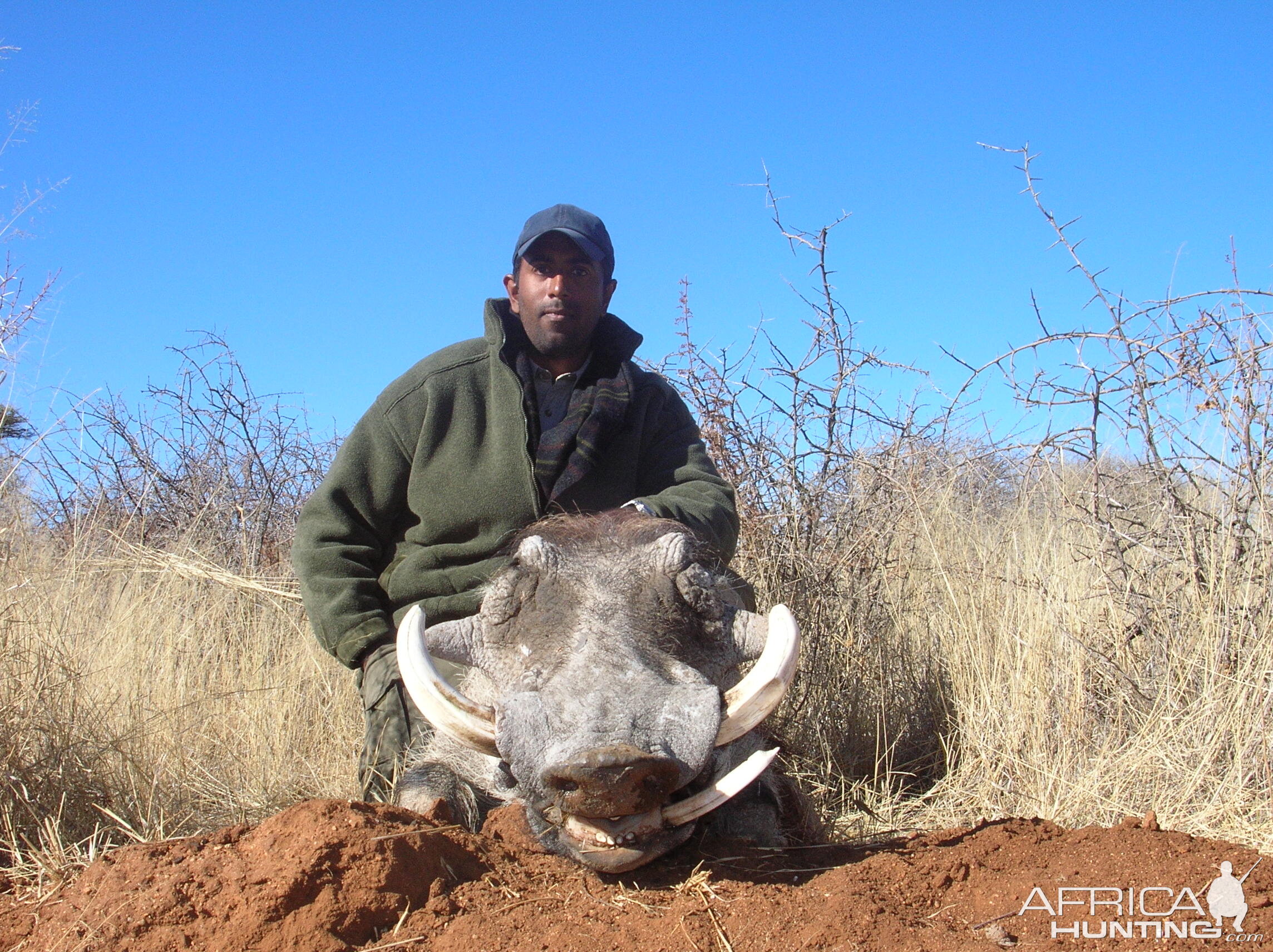 Hunting Warthog in Namibia