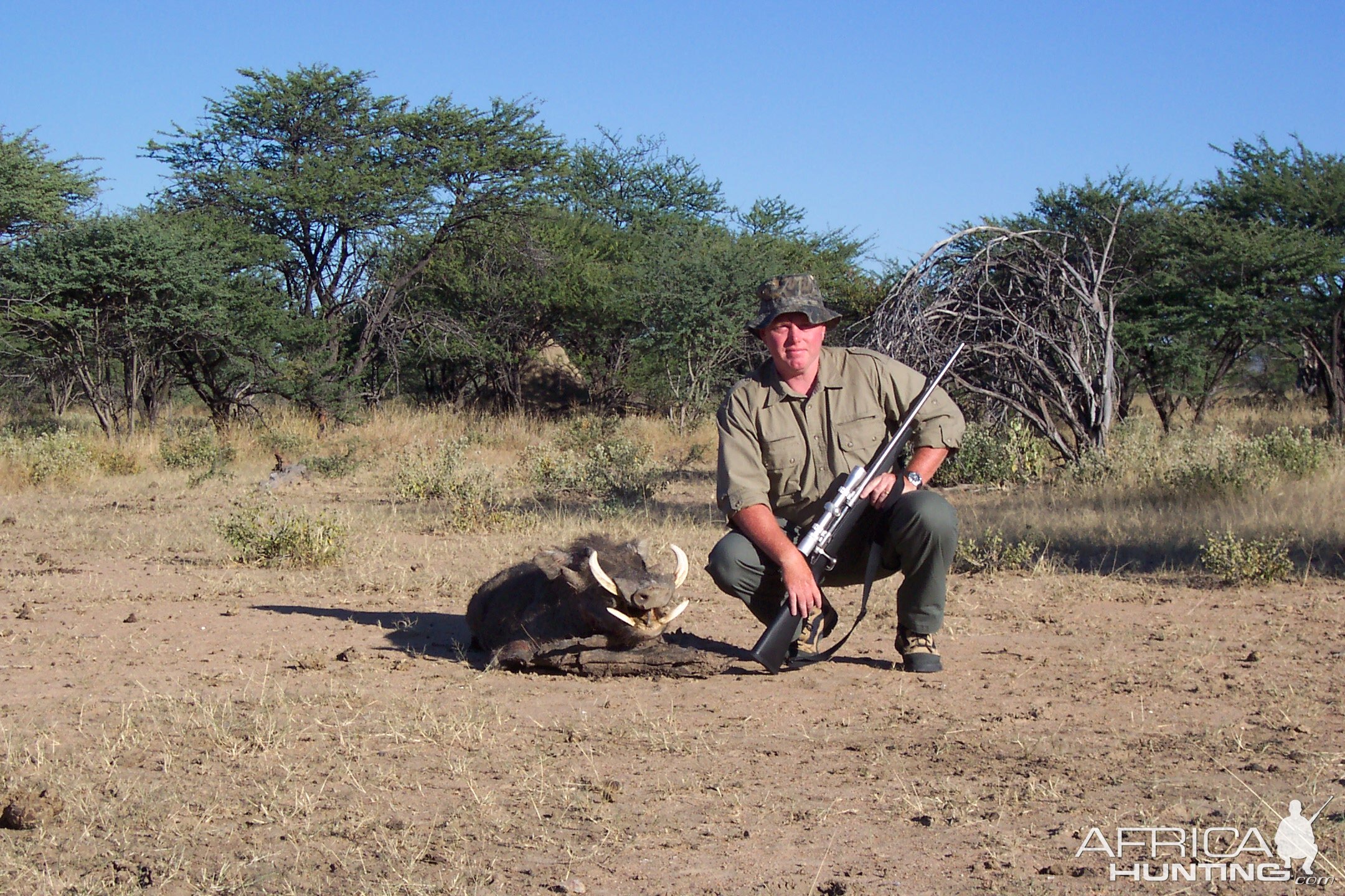 Hunting Warthog in Namibia