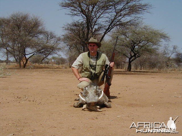 Hunting Warthog in Namibia