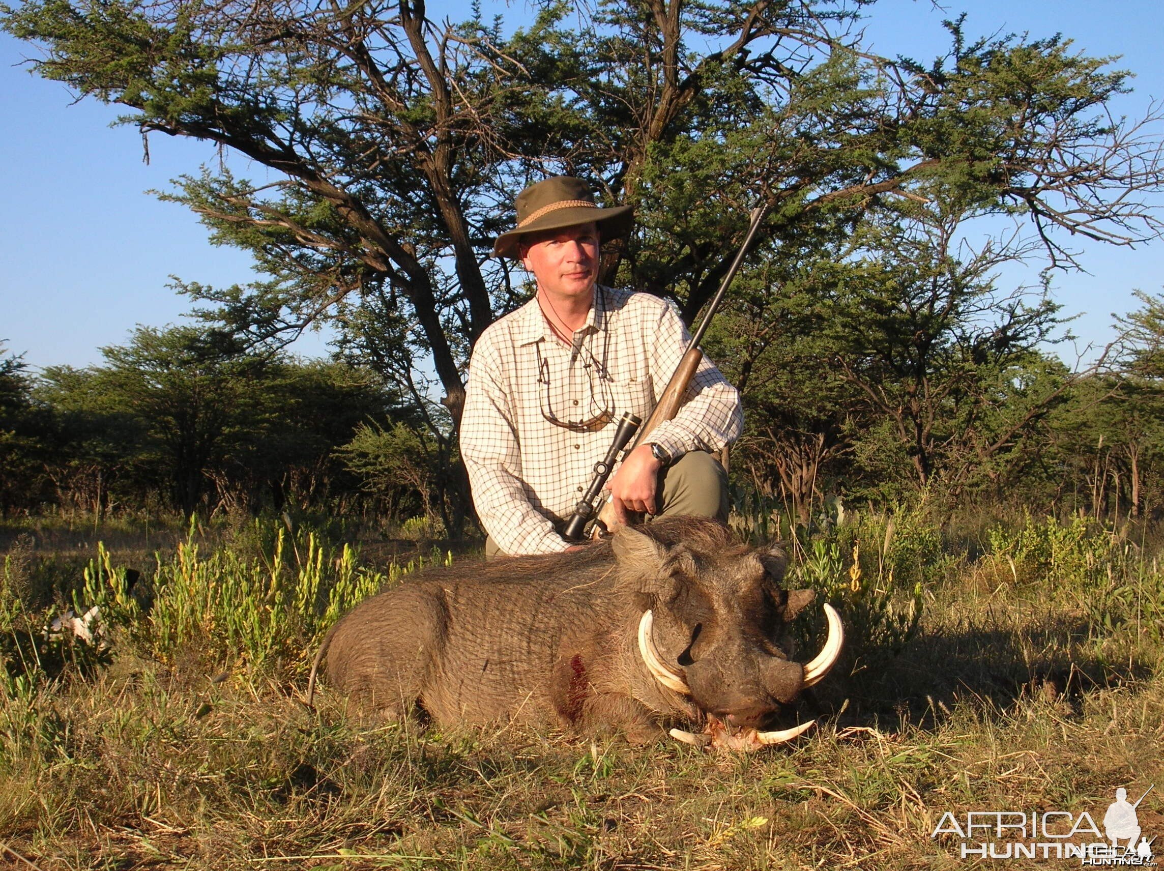 Hunting Warthog in Namibia