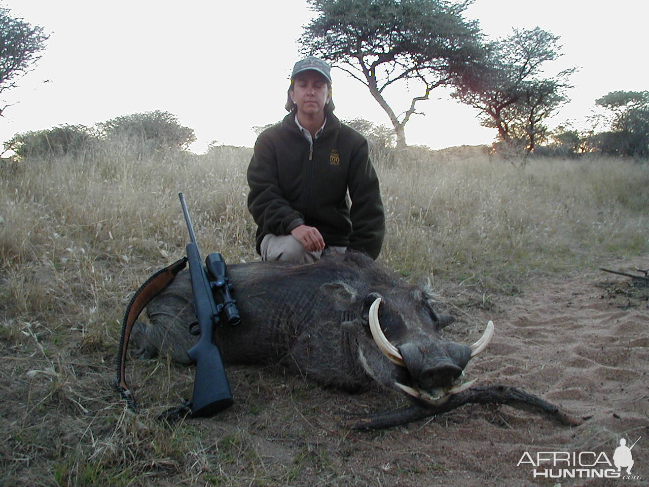 Hunting Warthog in Namibia