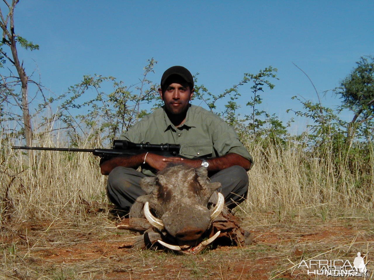 Hunting Warthog in Namibia