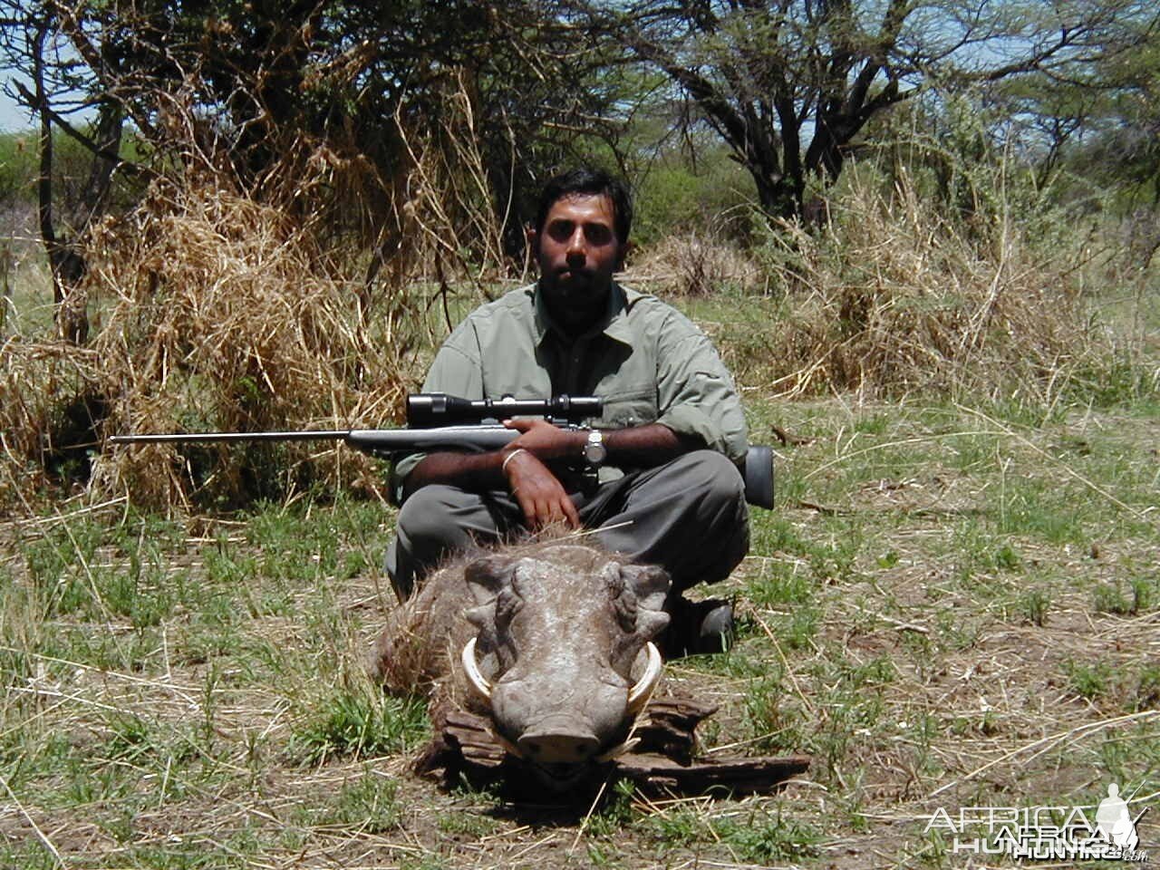 Hunting Warthog in Namibia