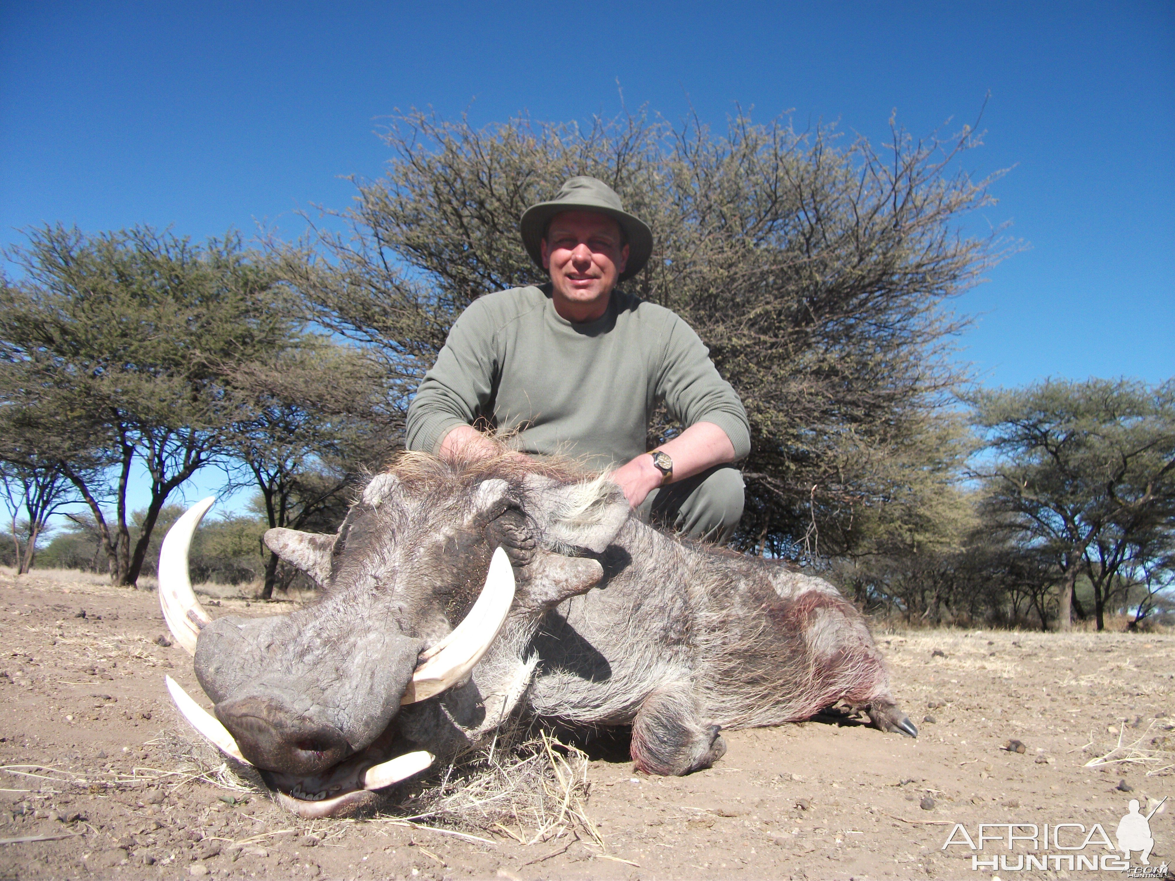 Hunting Warthog in Namibia