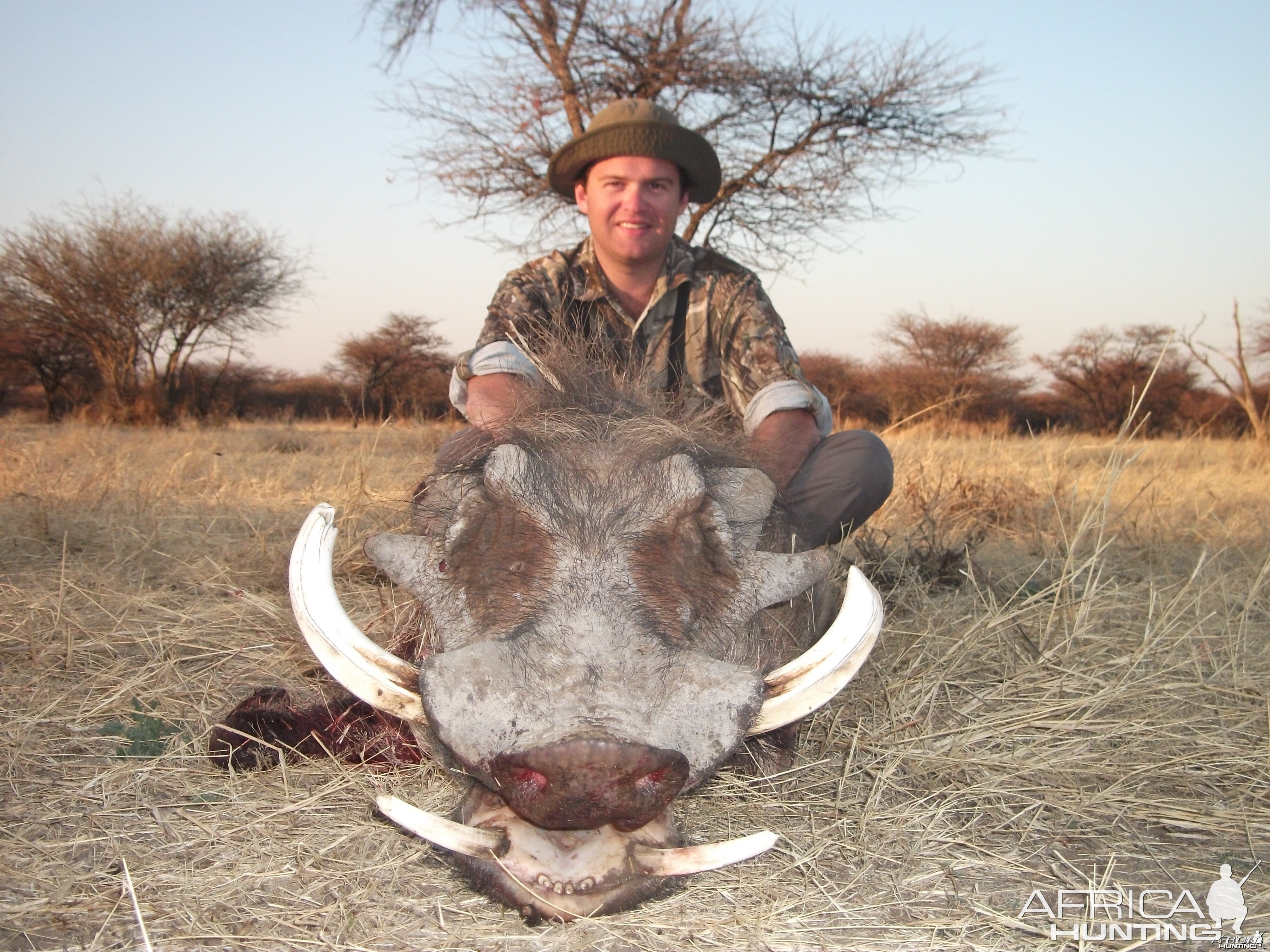 Hunting Warthog in Namibia