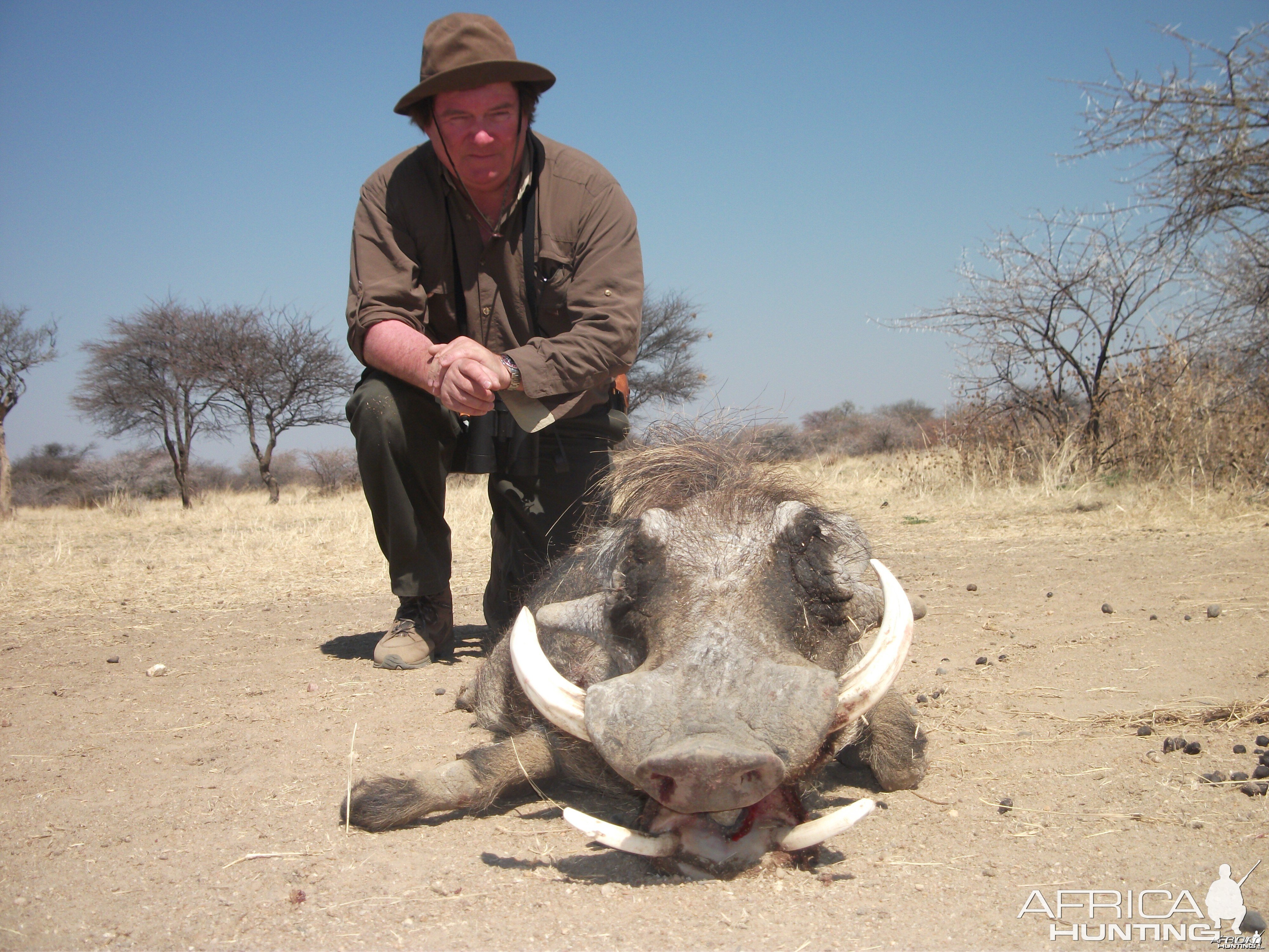 Hunting Warthog in Namibia