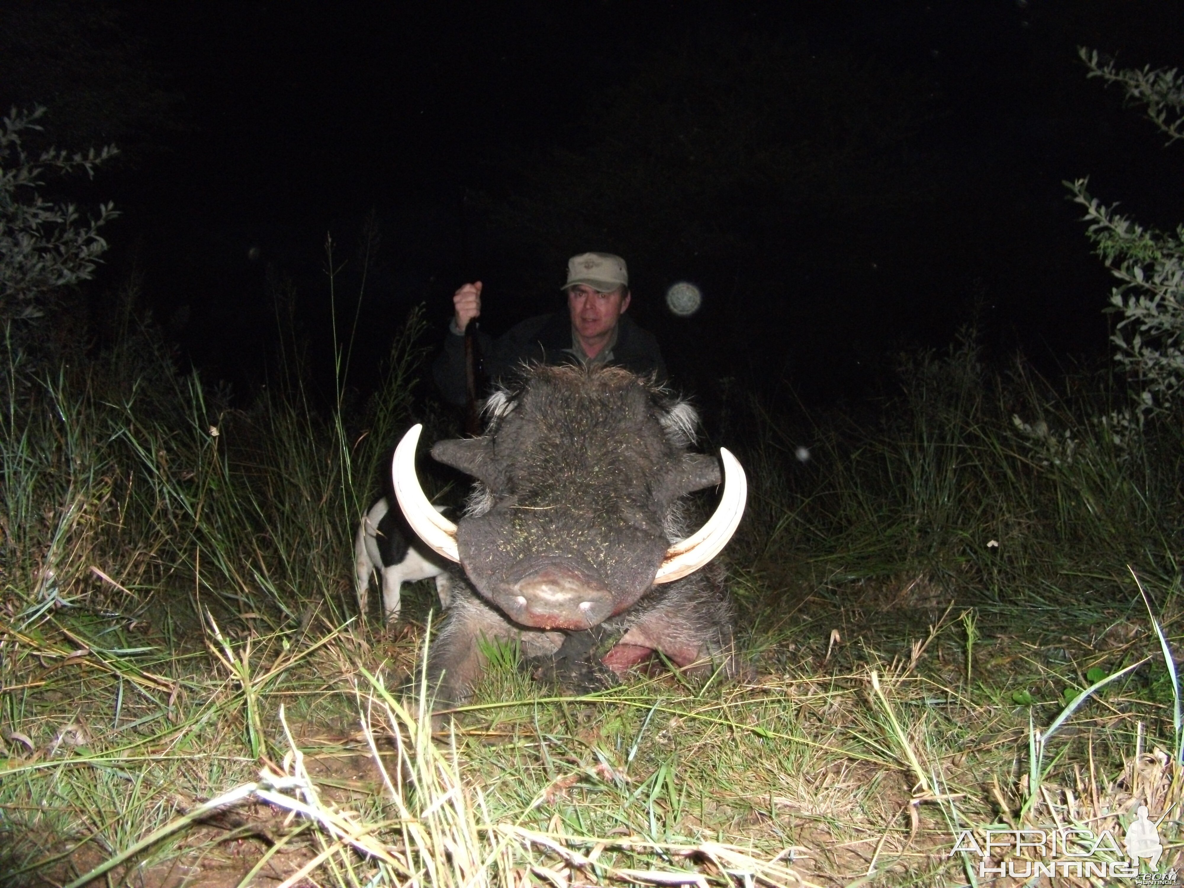 Hunting Warthog in Namibia