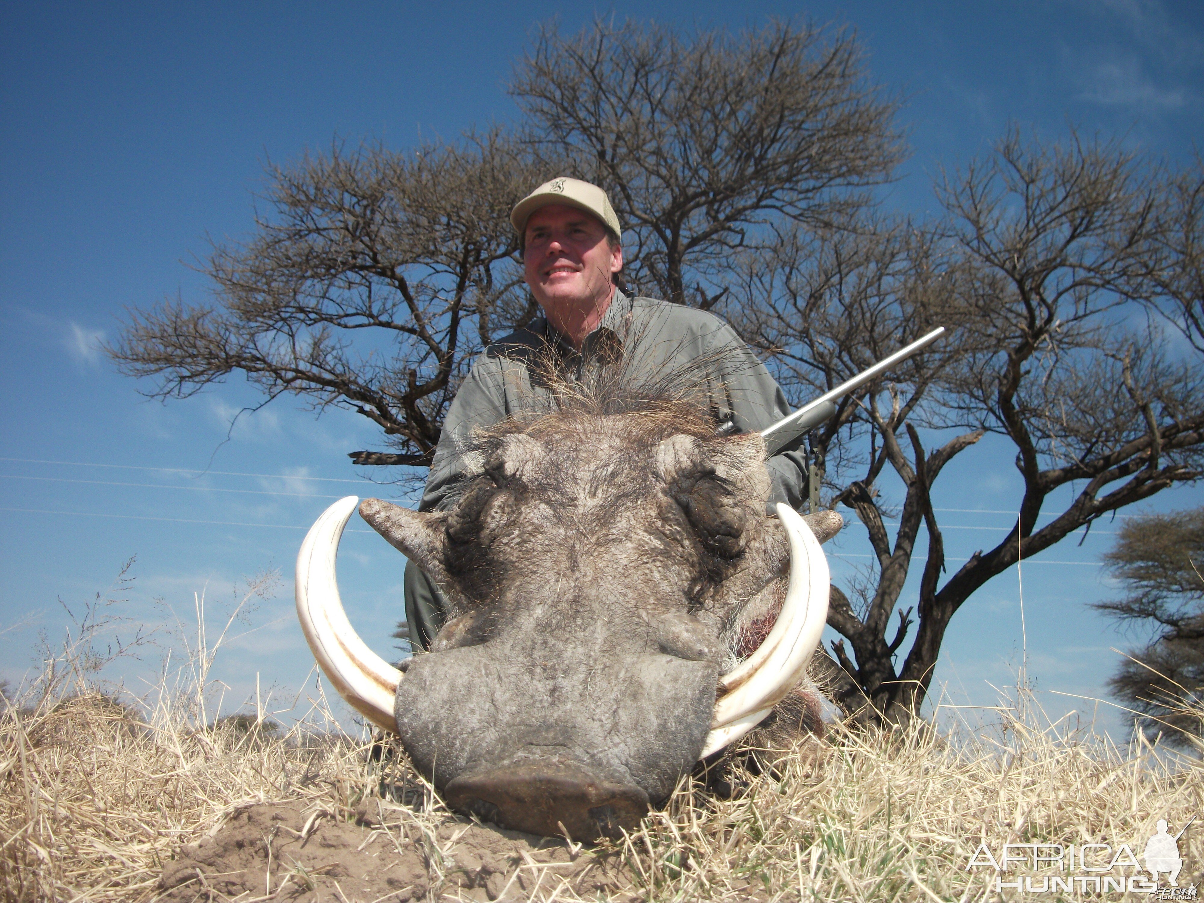 Hunting Warthog in Namibia