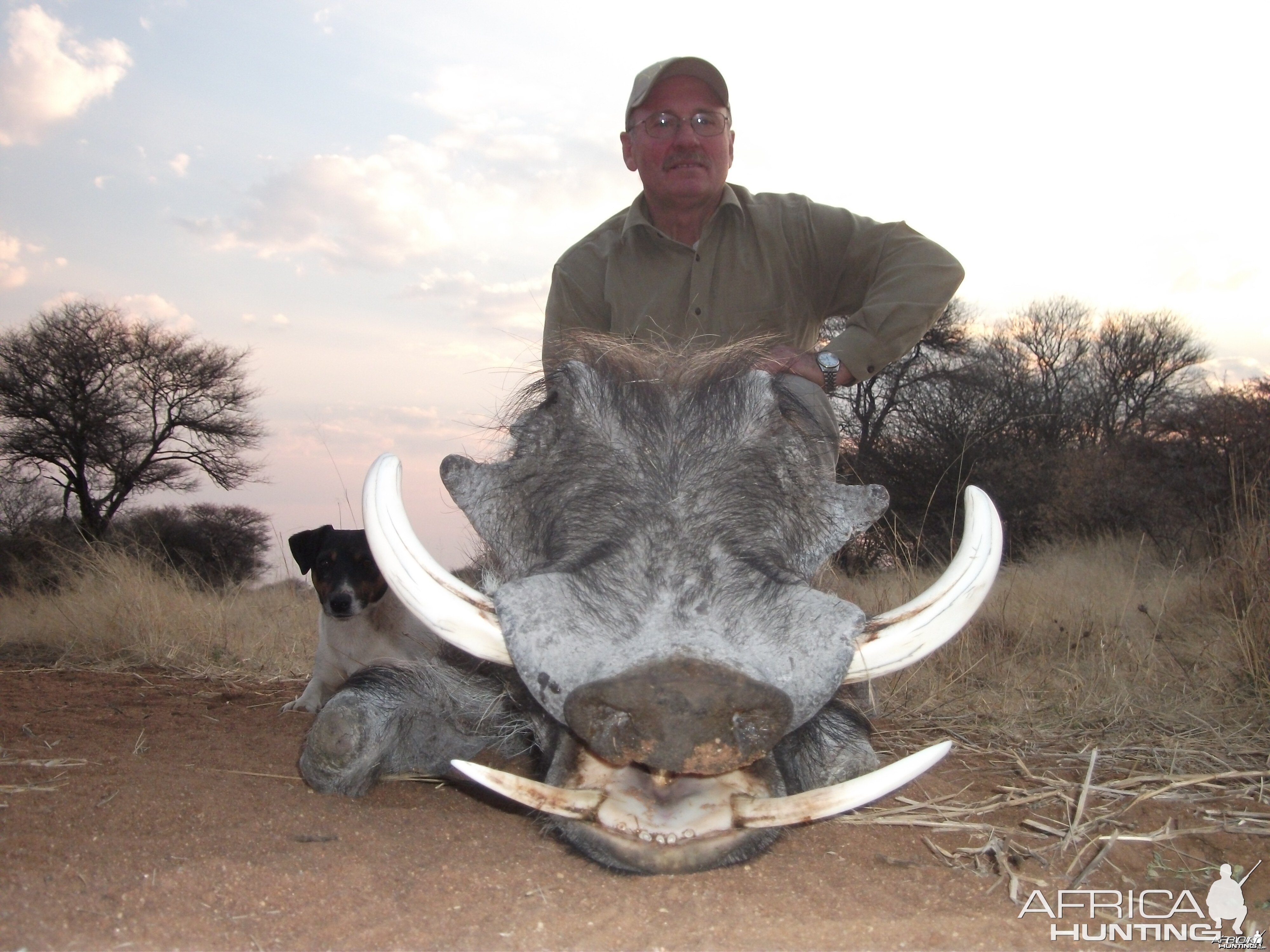 Hunting Warthog in Namibia