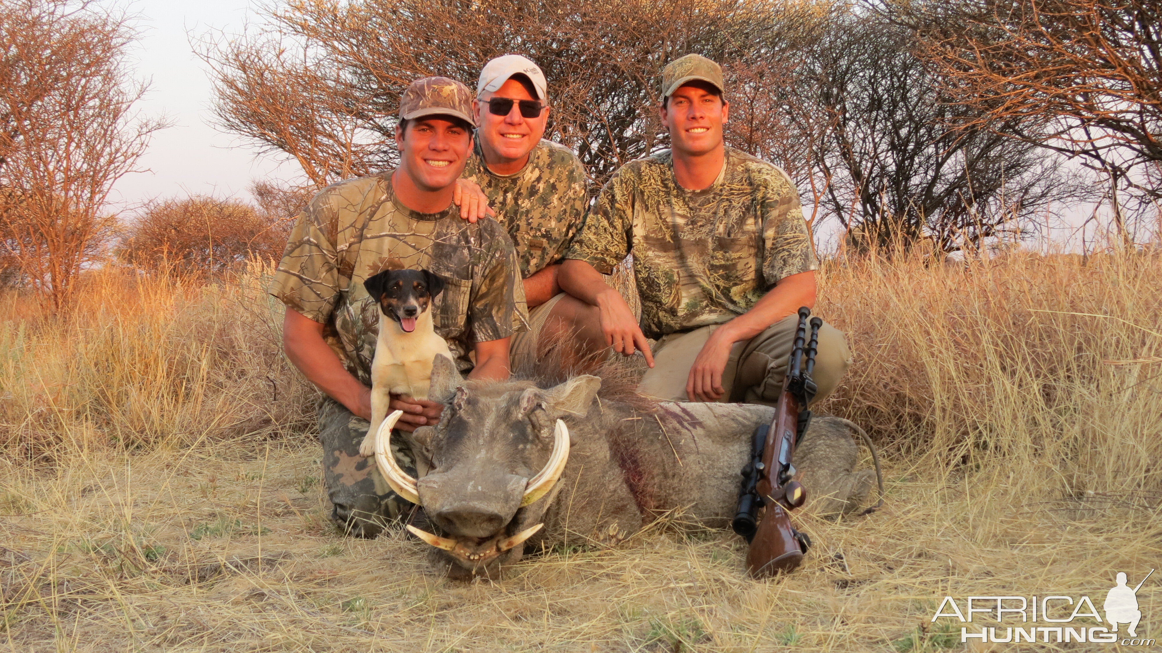 Hunting Warthog in Namibia