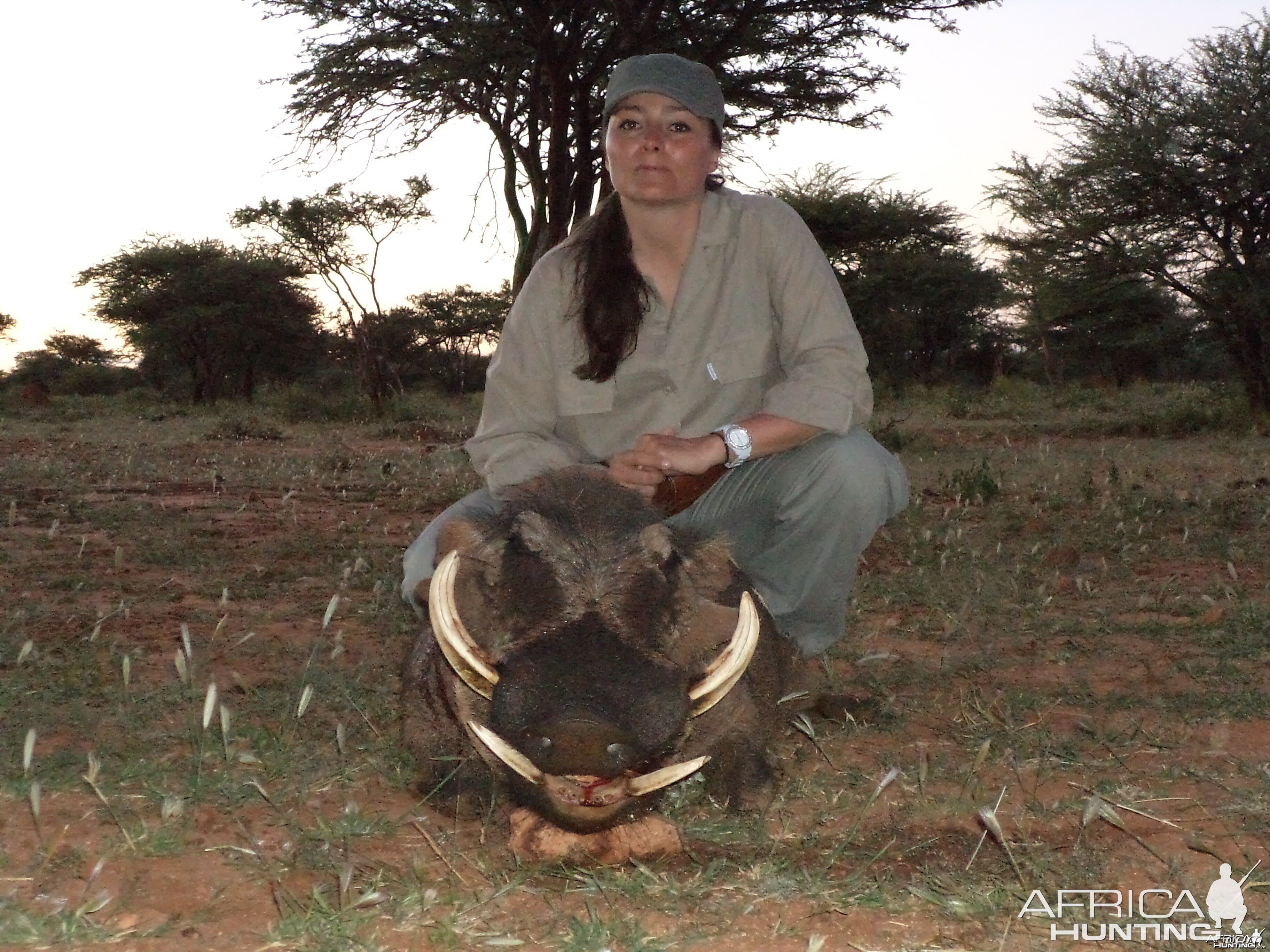 Hunting Warthog in Namibia