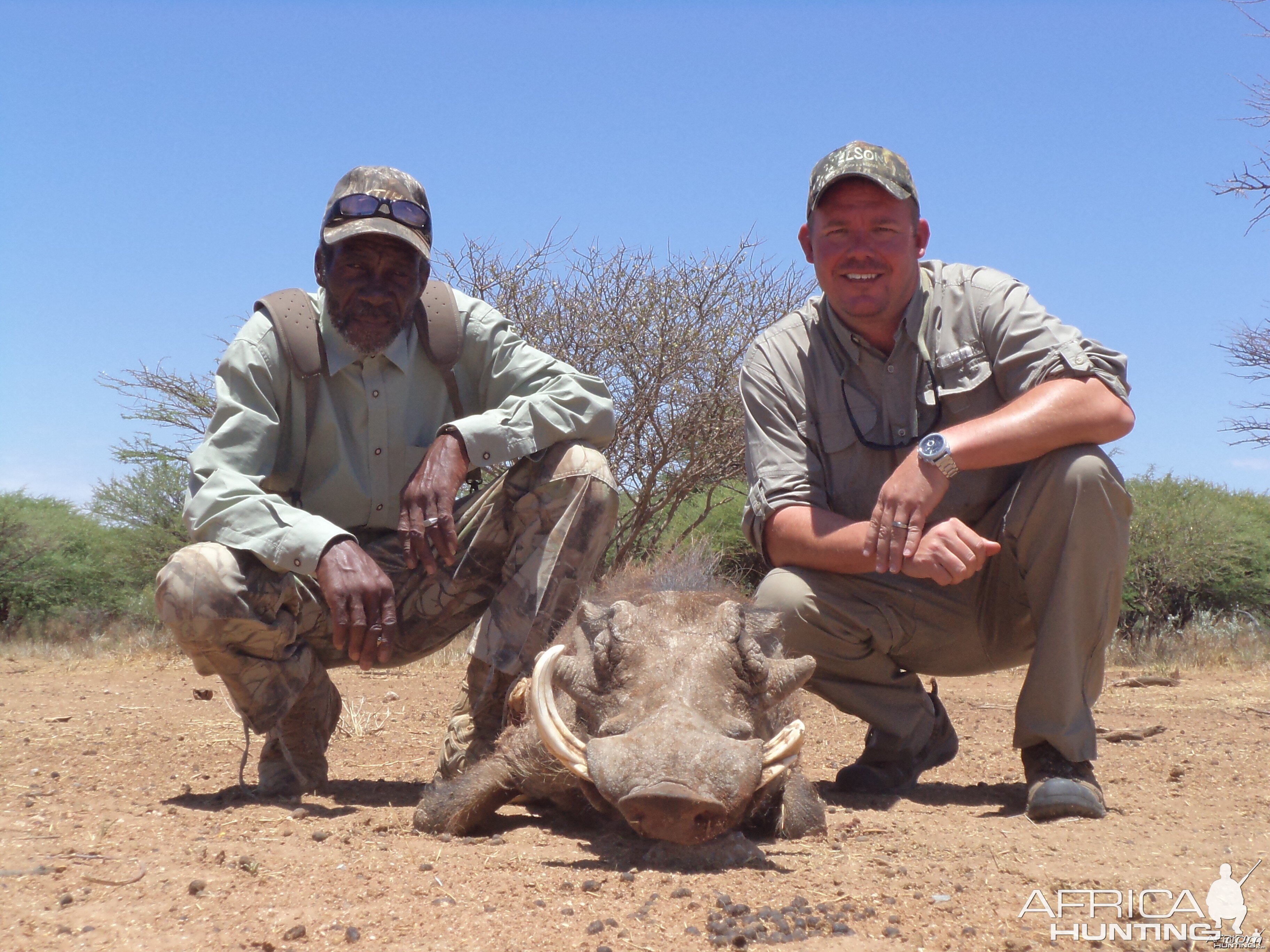 Hunting Warthog in Namibia