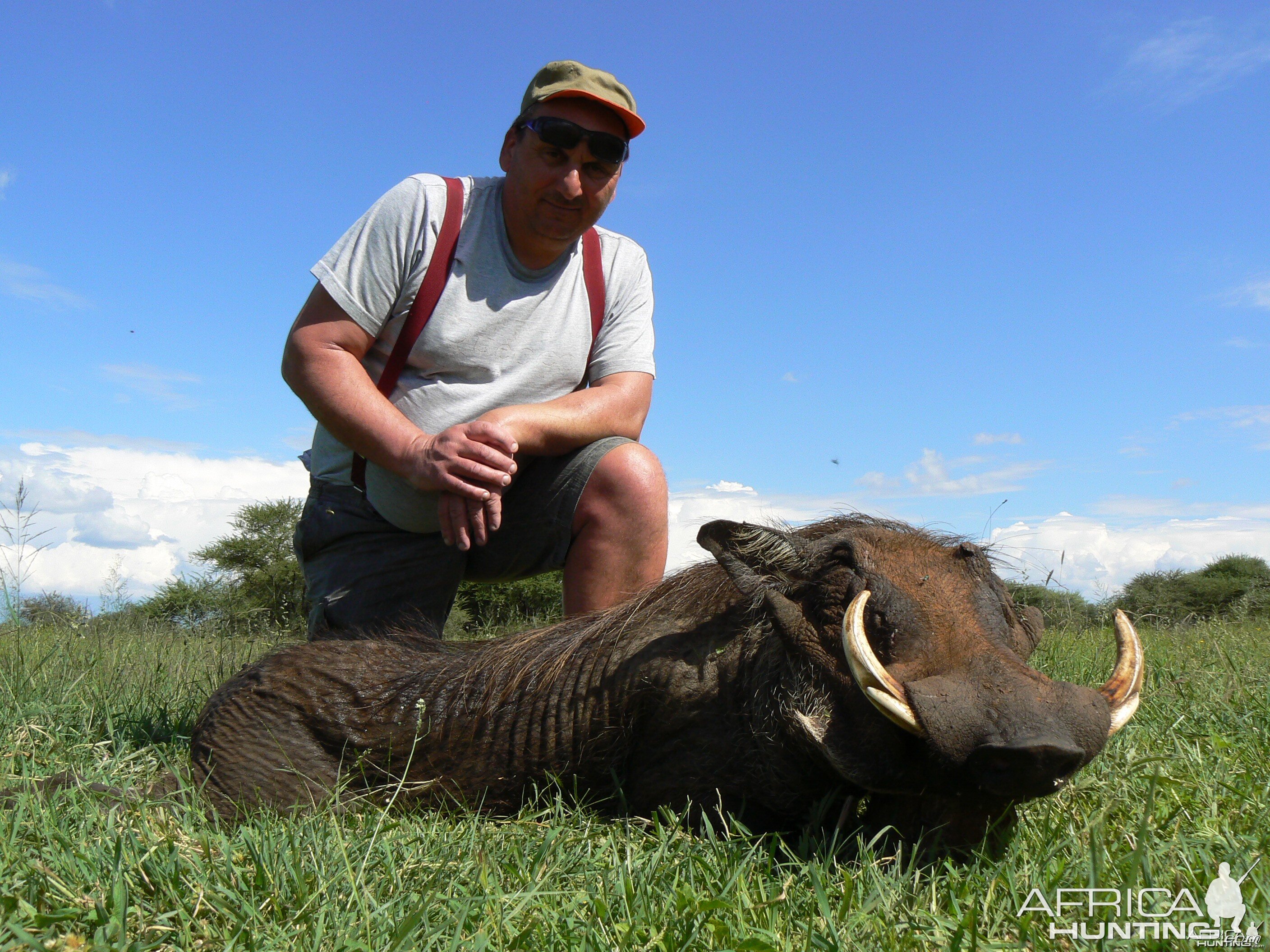 Hunting Warthog in Namibia