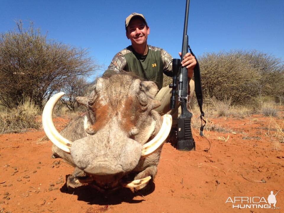 Hunting Warthog in Namibia