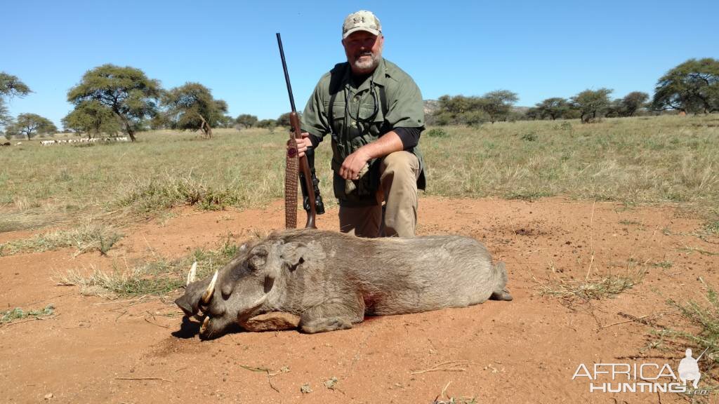 Hunting Warthog in Namibia