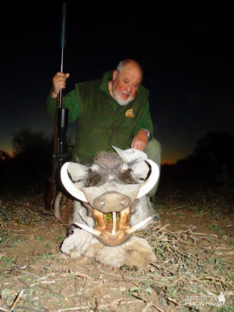 Hunting Warthog in Namibia