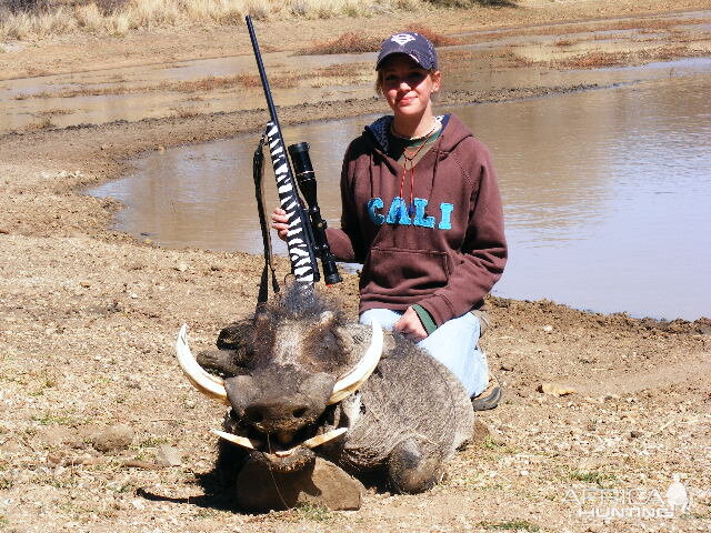 Hunting Warthog in Namibia