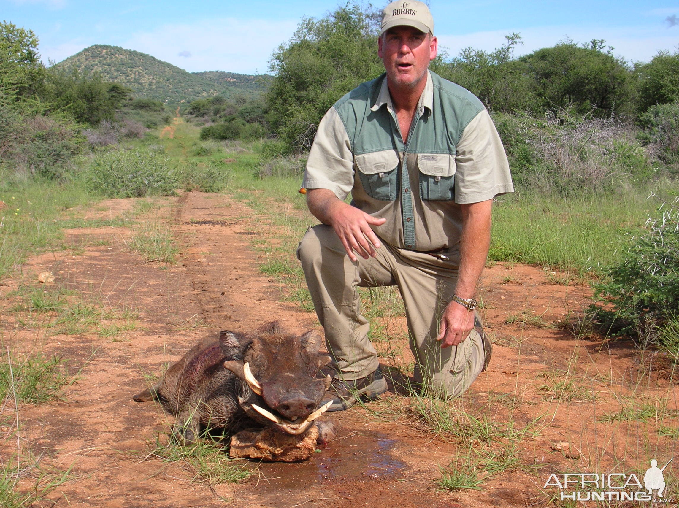 Hunting Warthog in Namibia