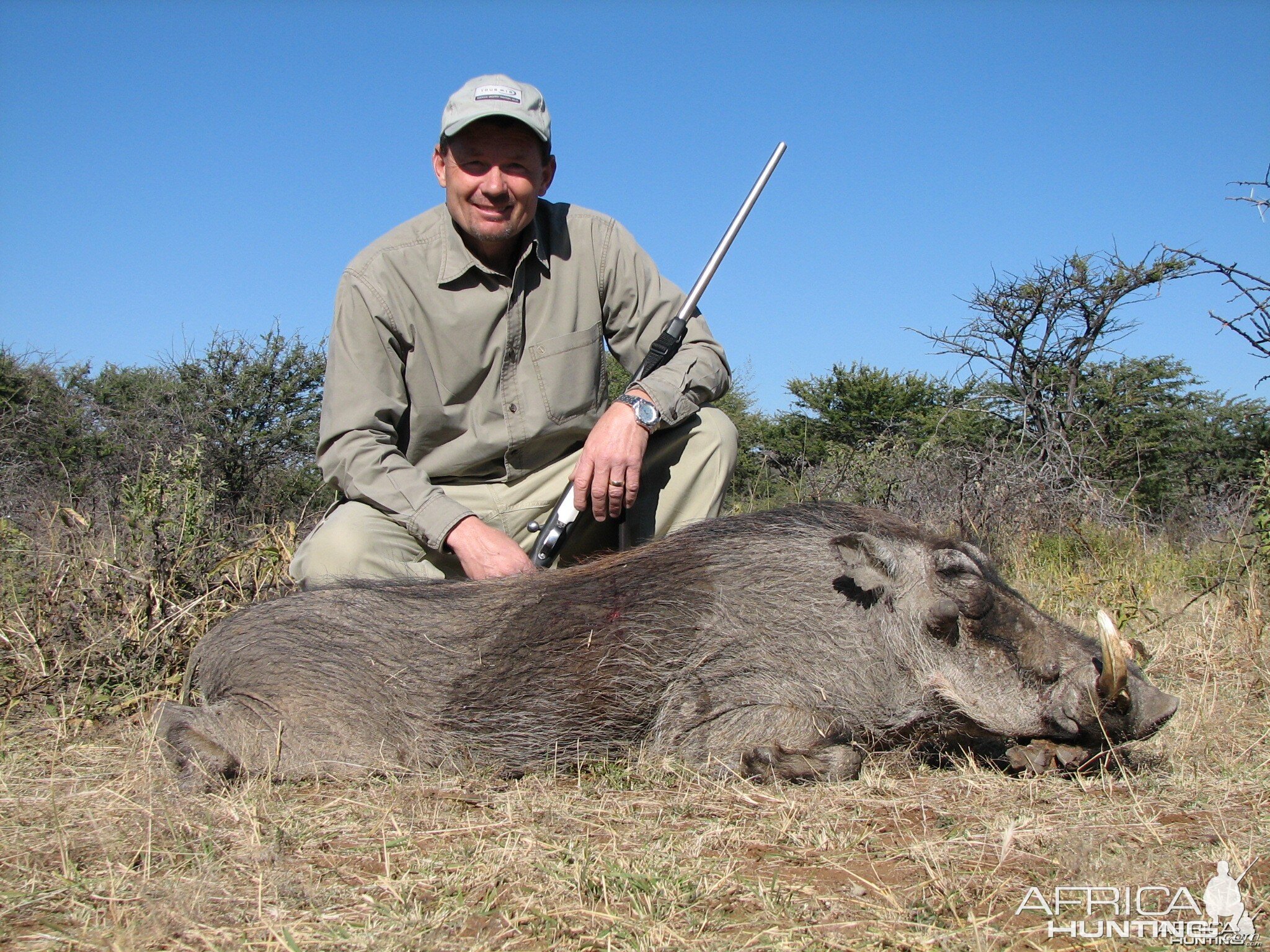 Hunting Warthog in Namibia