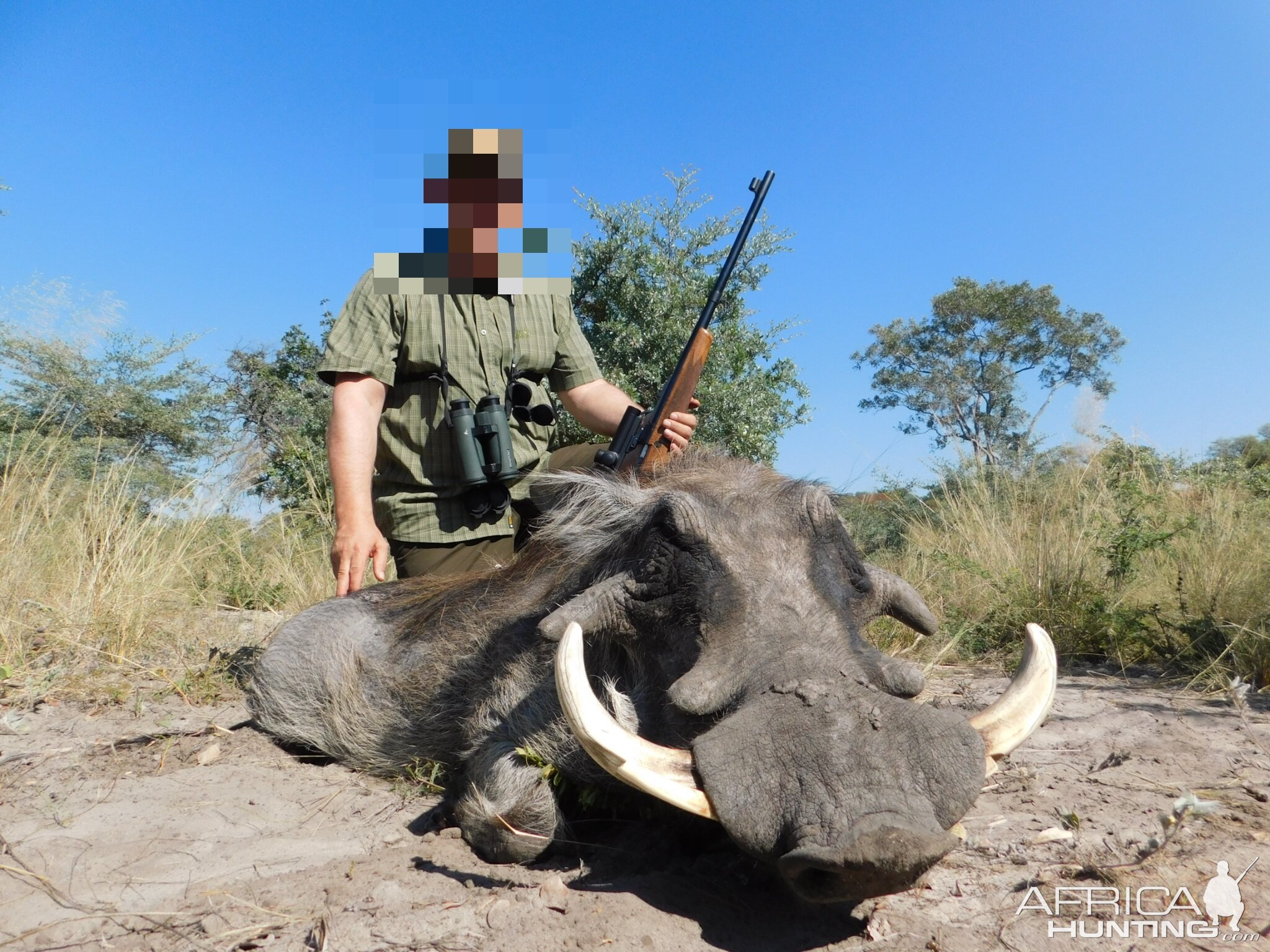 Hunting Warthog in Namibia