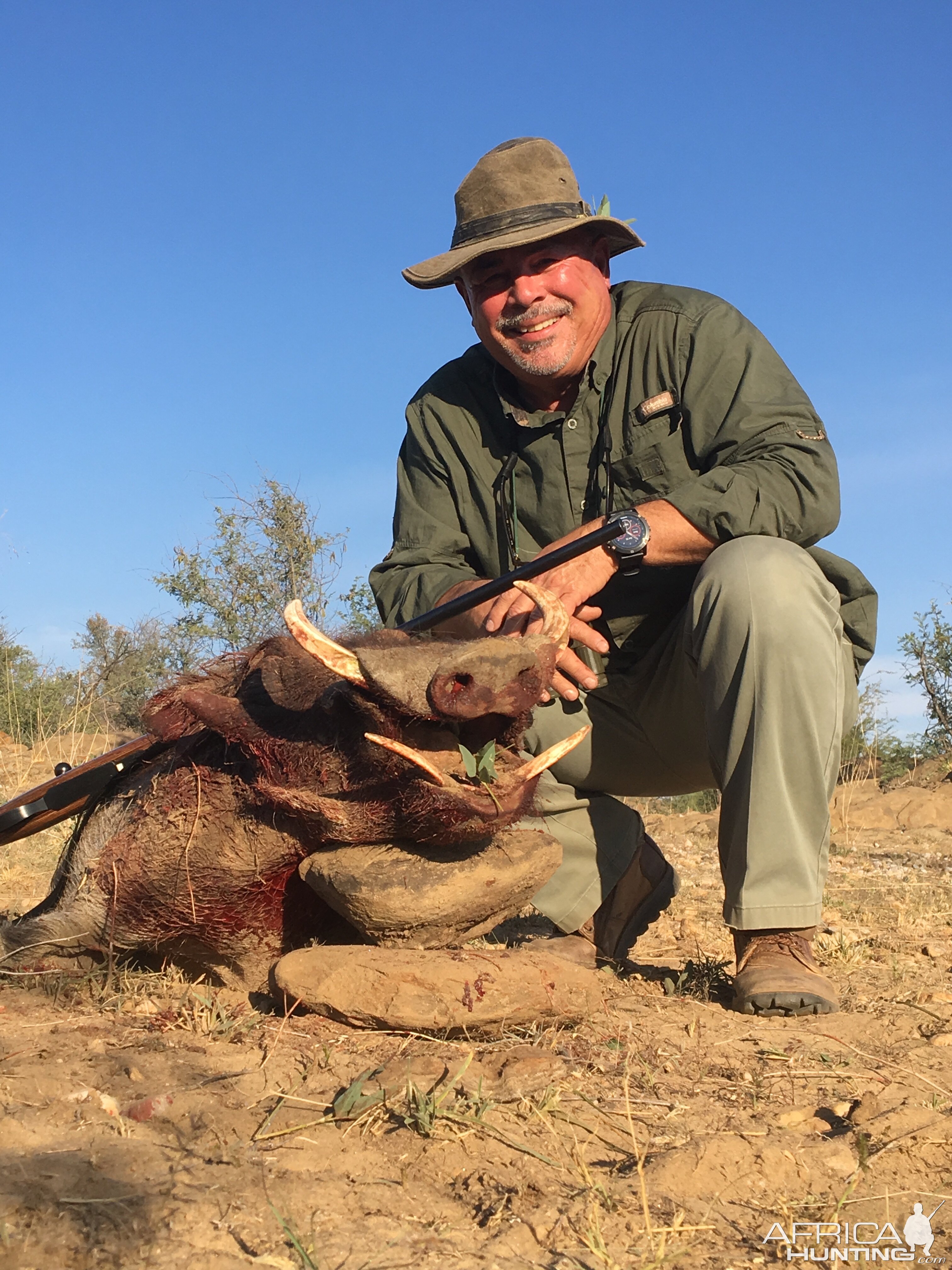 Hunting Warthog in Namibia