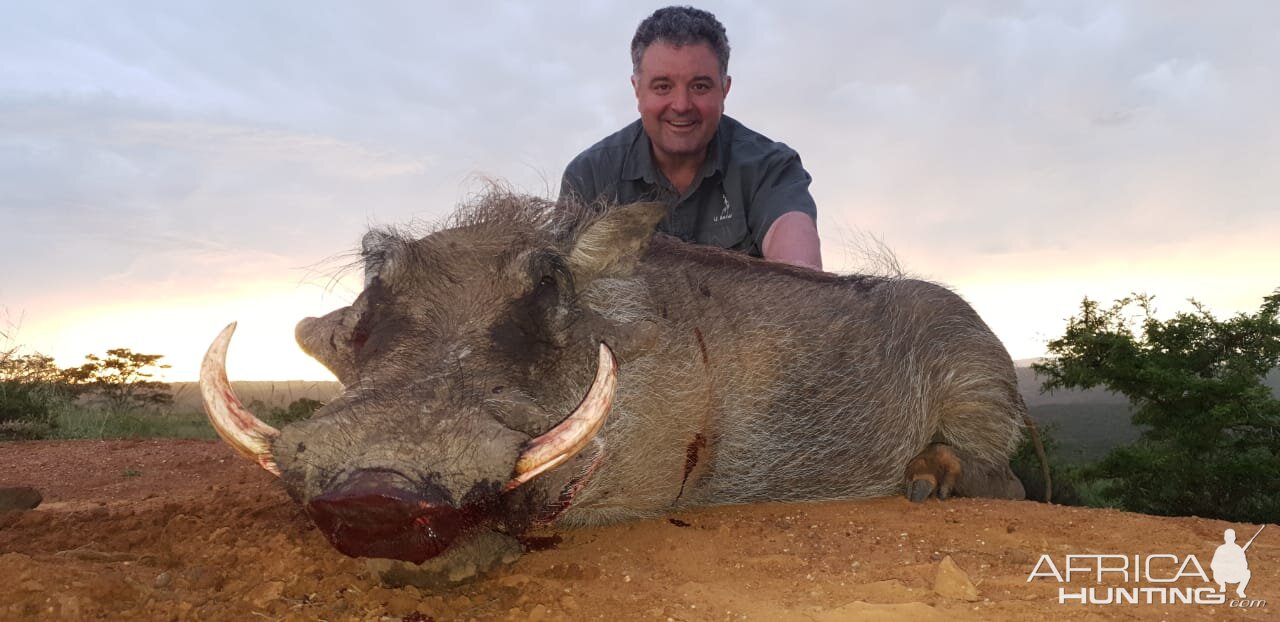 Hunting Warthog in South Africa