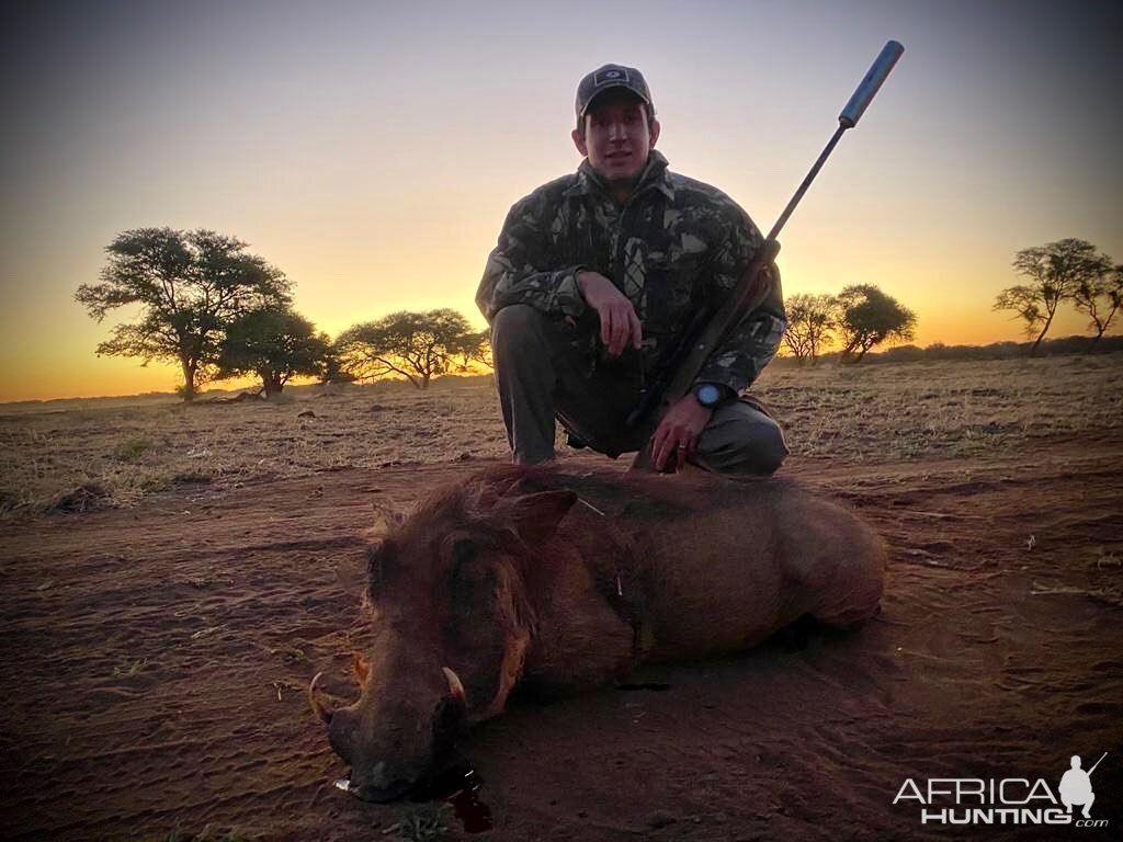 Hunting Warthog in South Africa