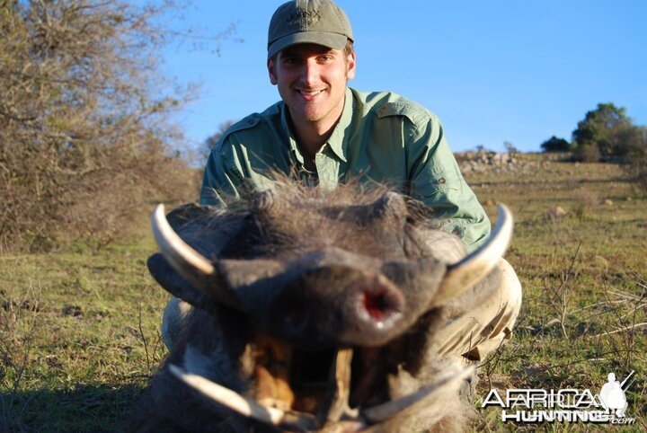 Hunting Warthog in South Africa