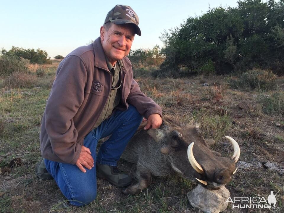 Hunting Warthog in South Africa