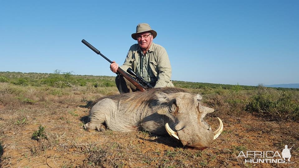 Hunting Warthog in South Africa