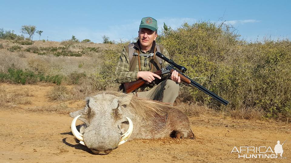 Hunting Warthog in South Africa