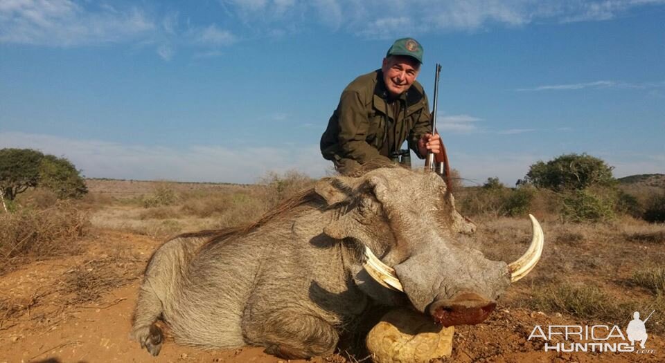 Hunting Warthog in South Africa