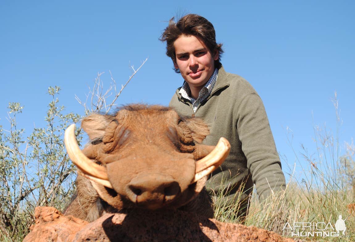 Hunting Warthog in South Africa