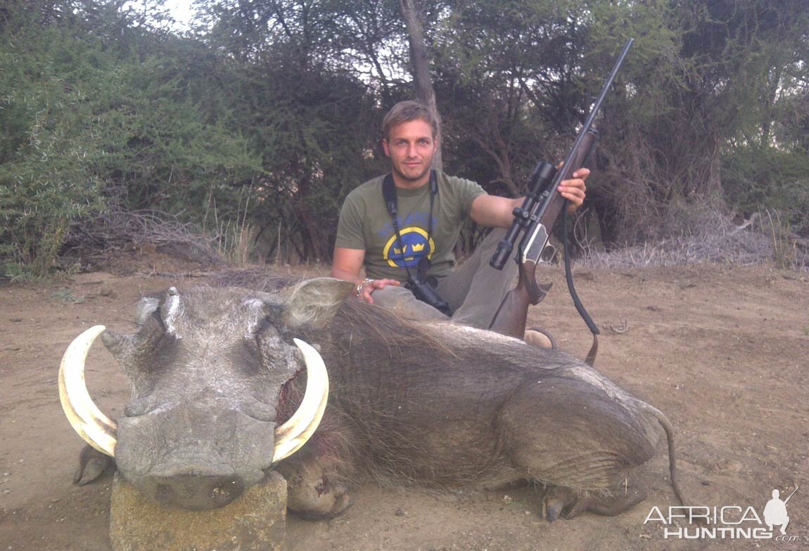 Hunting Warthog in South Africa