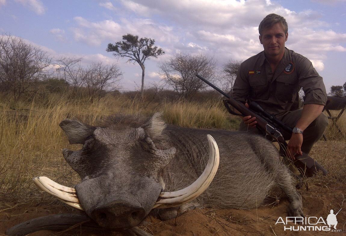 Hunting Warthog in South Africa