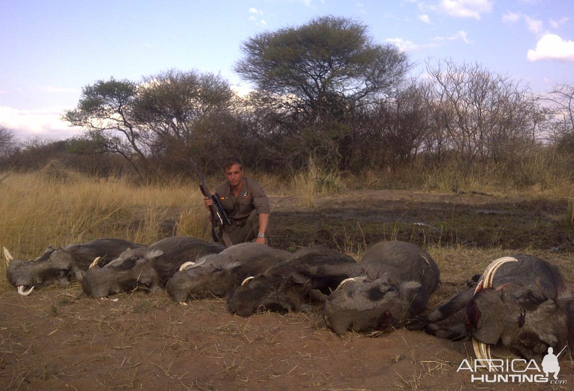 Hunting Warthog in South Africa