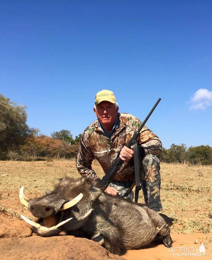 Hunting Warthog in South Africa