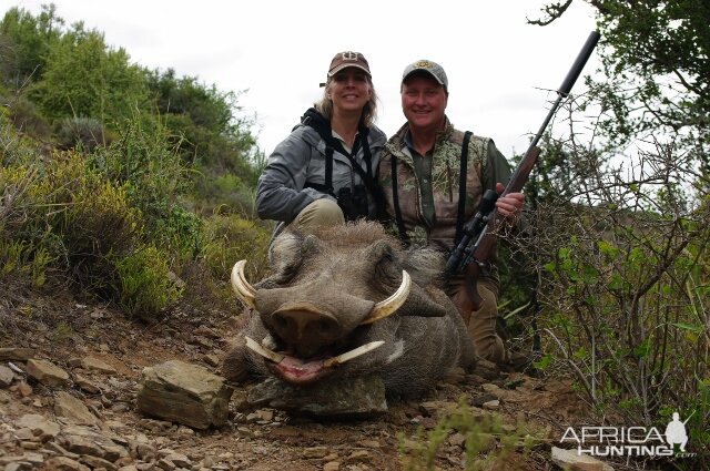 Hunting Warthog in South Africa