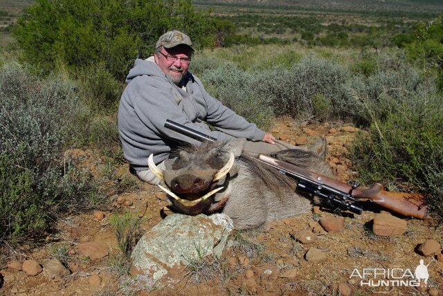 Hunting Warthog in South Africa